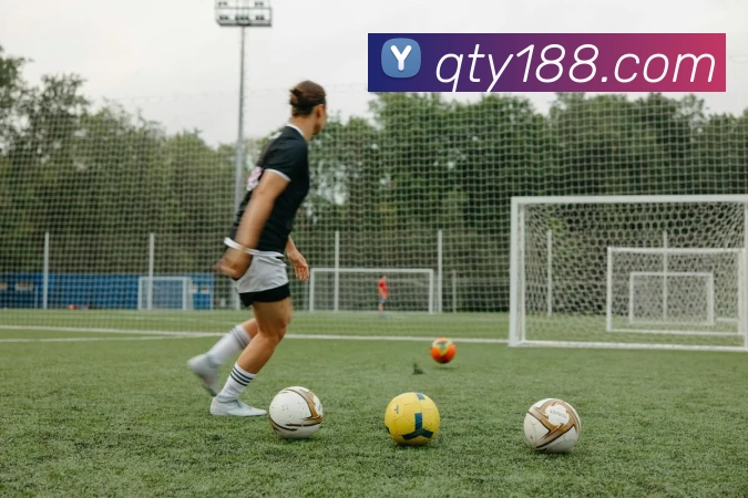 趣体育官网平台生态图