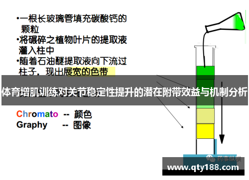 体育增肌训练对关节稳定性提升的潜在附带效益与机制分析